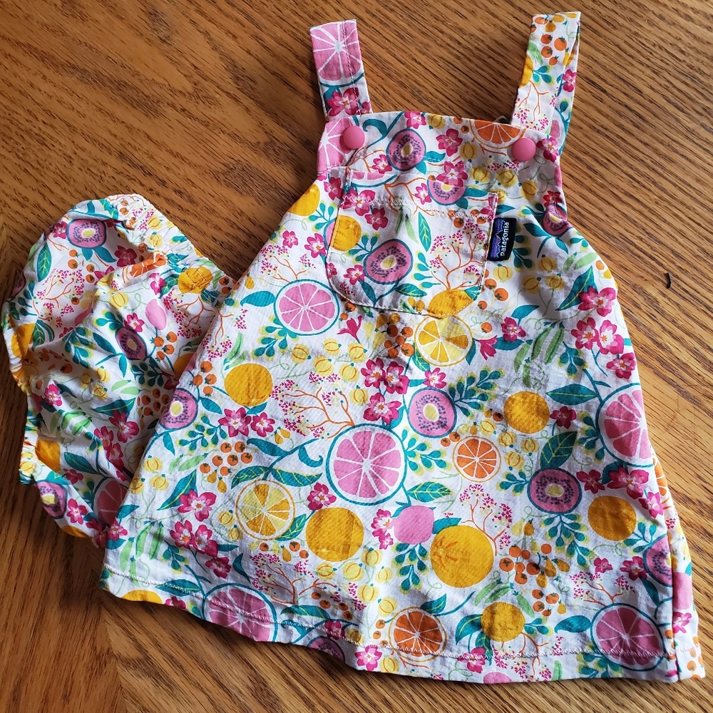 ADORABLE 6m Patagonia Dress